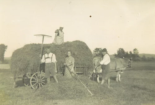 Familie mit Helfern bei der Heuernte