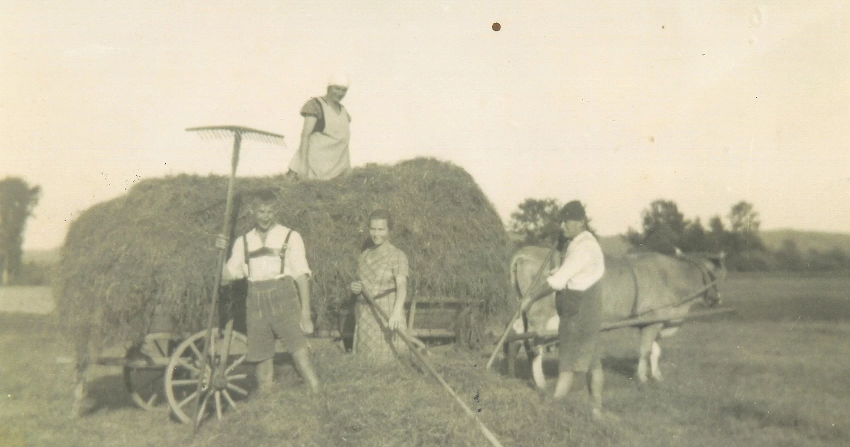 Familie mit Helfern bei der Heuernte